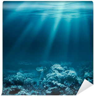 Hãy cùng chìm sâu vào đại dương bí ẩn và khám phá những rạn san hô xinh đẹp như một cung điện dưới đáy đại dương. Tải xuống hình ảnh độc đáo với độ phân giải cao nhất để được trải nghiệm tối đa mức độ đẹp của thế giới dưới nước.