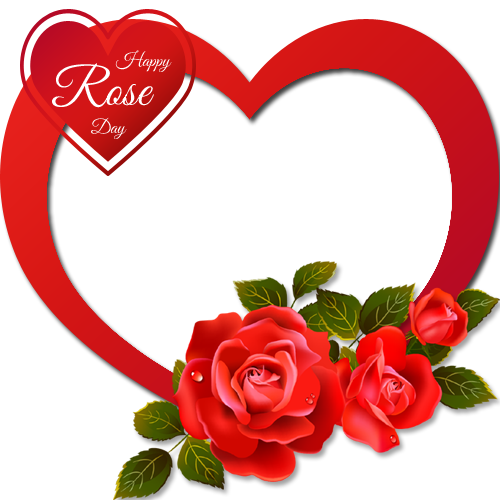 Transparent Background Rose Clipart (500x500), Png Download