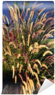 Photography (400x400), Png Download