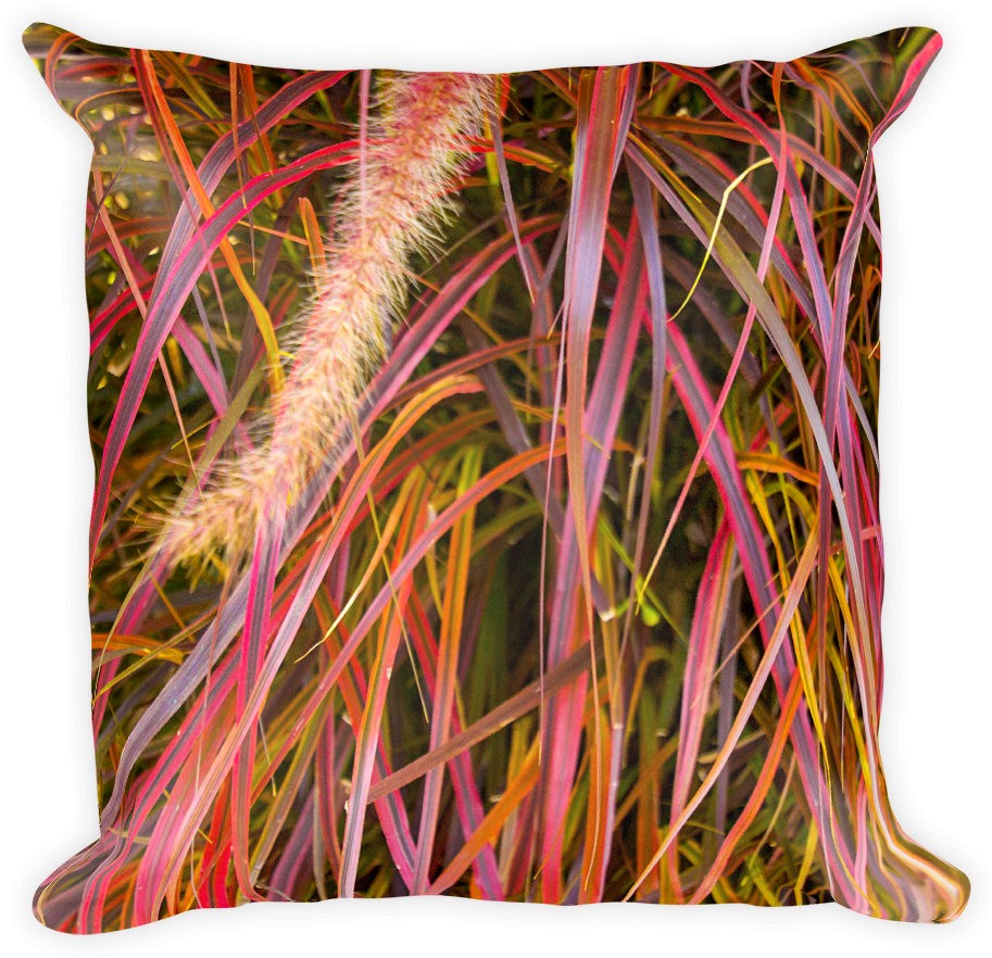 Lankershim Village Fountain Grass Square Pillow - Fountain Grass (1000x1000), Png Download