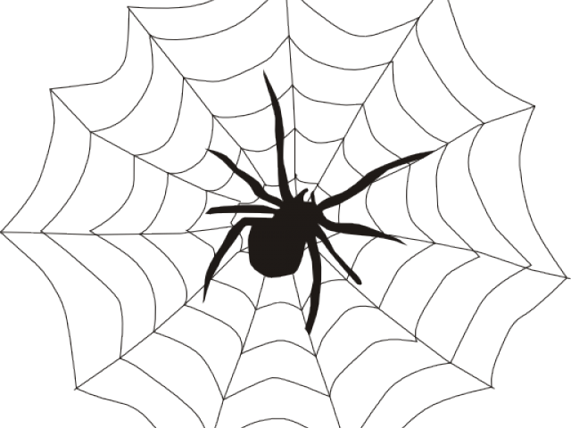 Web Clipart Spinder - Web Of A Spider (640x480), Png Download