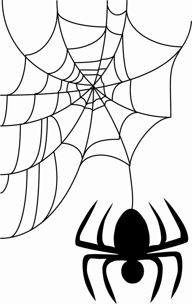 Halloween Spider Web Png Image Background - Png Telas De Araña Halloween (650x1025), Png Download