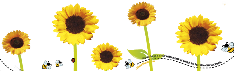Sunflower Flower Free Png Transparent Images Free Download - Sunflower (810x247), Png Download