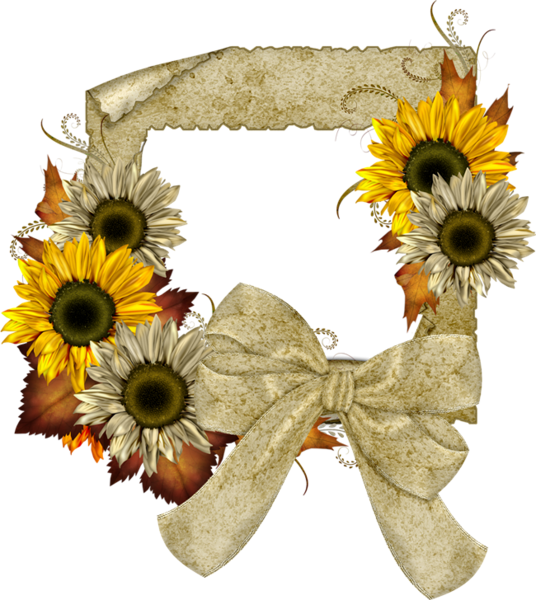 Fall Transparent Frame With Sunflowers - Fall Transparent (536x600), Png Download