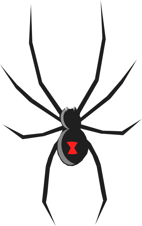 Free Spider Clip Art Pictures - Black Widow Clip Art (483x767), Png Download
