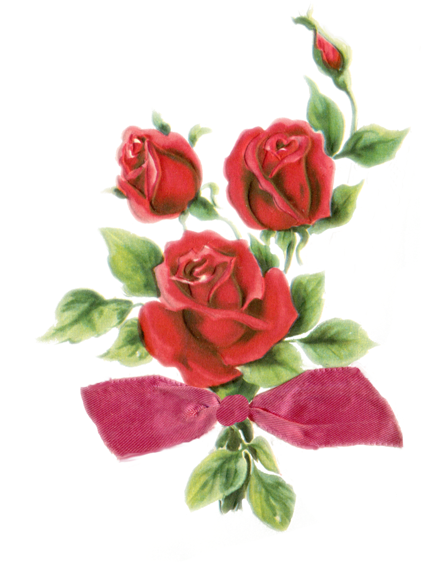 More Artists Like Frame Png With Roses By Melissa-tm - Watercolor Red Rose Png (900x1127), Png Download
