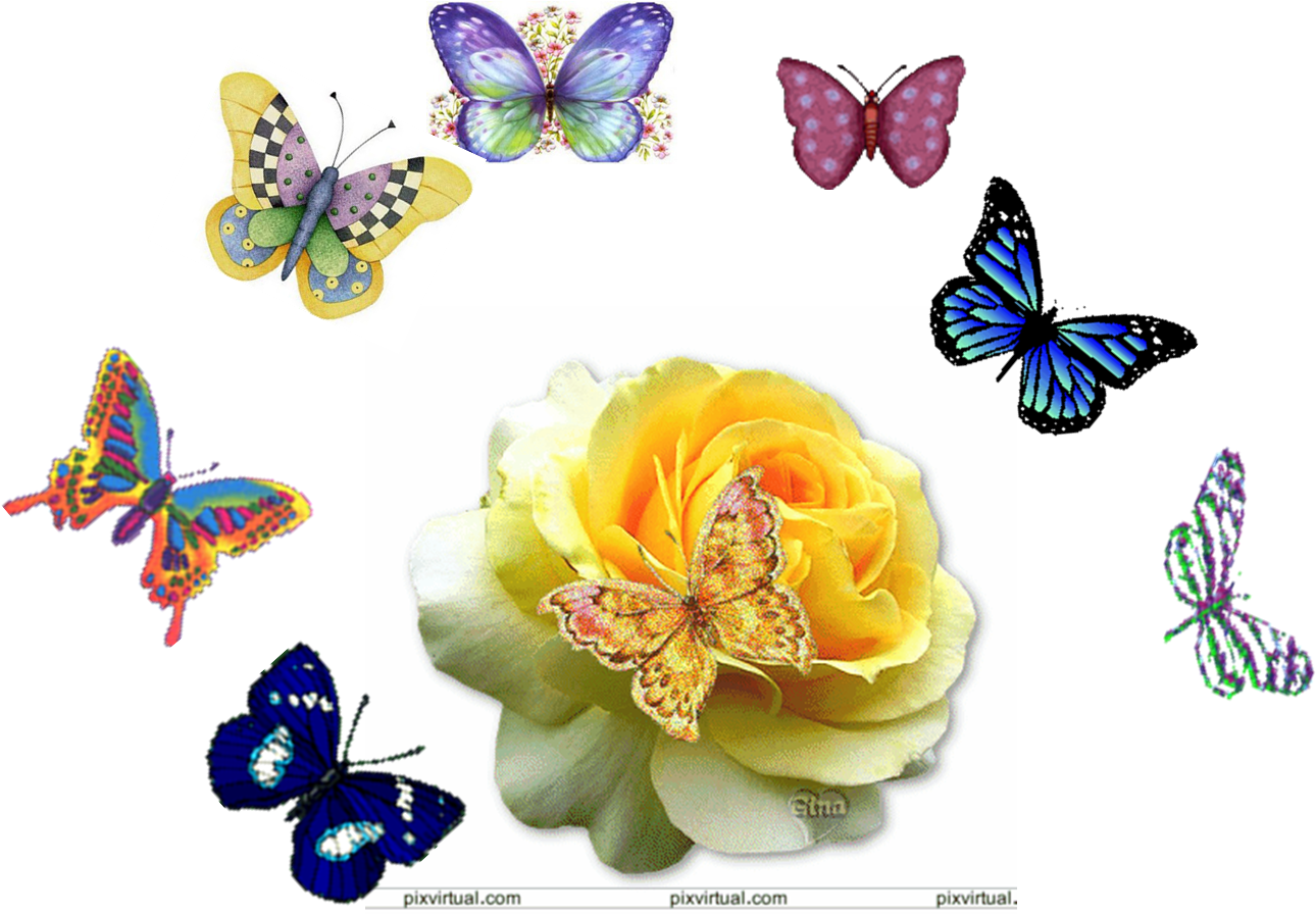 Mariposas - Good Night Images Beautiful Roses (1399x917), Png Download