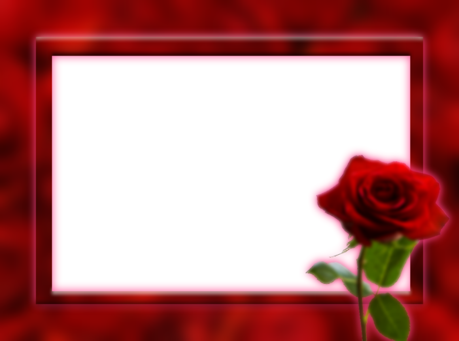 Phtoframe Background Png Clipart Garden Roses Picture - Png Images Rose Background (900x669), Png Download