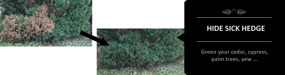 Peinture Pour Gazon Tendance Herb - Peinture Gazon (940x250), Png Download