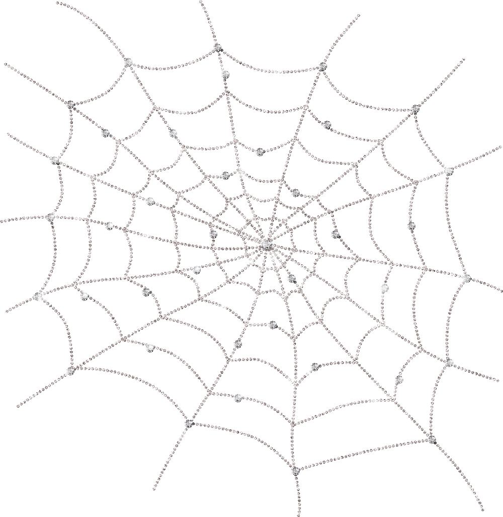 Spiderweb White Png - Spider Web (1000x1027), Png Download