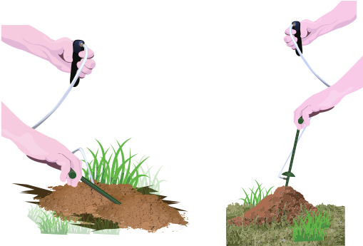 Out Of Extensive Research And Testing, Mole Zap And - Ant Mole (570x360), Png Download