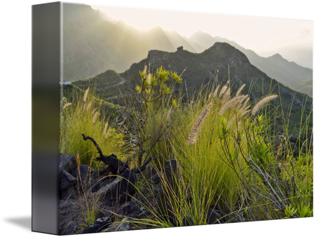 "island Of Eternal Spring" By Marek Stepan - Summit (650x488), Png Download