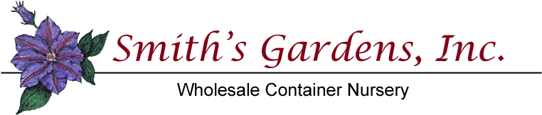 Including Fountain Grass, Japanese Silver Grass, And - Wildwood Landing Glamma Definition 12 X 12 Inch Decorative (800x200), Png Download