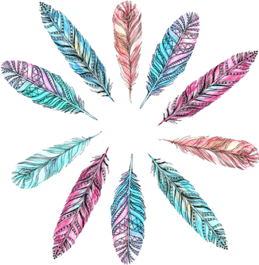 Feathers - Transparent Bohemian Feather Png (597x517), Png Download