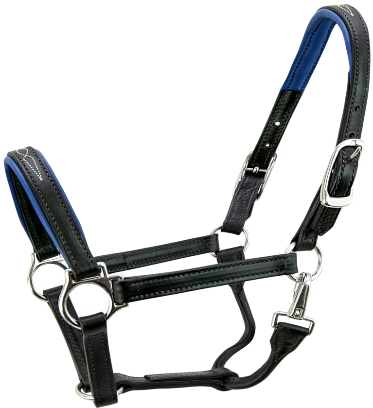 Signature Padded Horse Halter -s5000 - Horse (1200x960), Png Download