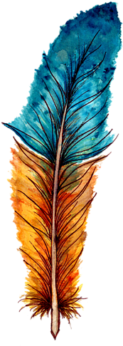 Watercolor Feather Transparent Background (452x700), Png Download