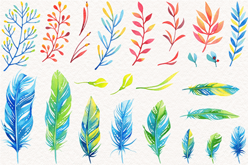 Wreath Feather Leaves Elements Bundle K535 - Boho Watercolor Floral Pattern Boho Watercolor Floral (800x800), Png Download