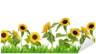 Sun Flower Garden Clip Art (400x400), Png Download