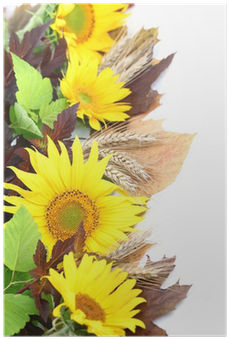 Photography (400x400), Png Download
