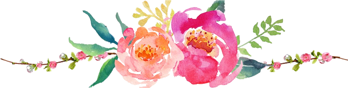 Image - Watercolor Peonies Pink Turquoise Summer Bouquet Throw (1200x300), Png Download
