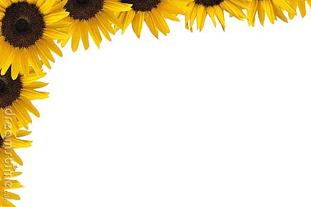 Sunflowerborder - Sunflower Border (450x300), Png Download