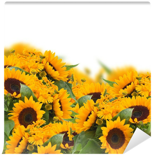 Sunflowers And Calendula Flowers Border Wall Mural - Common Sunflower (400x400), Png Download