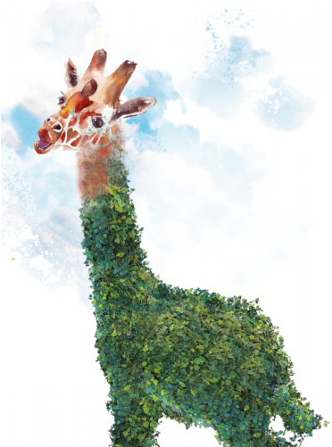 Giraffe Topiary - Giraffe (500x500), Png Download
