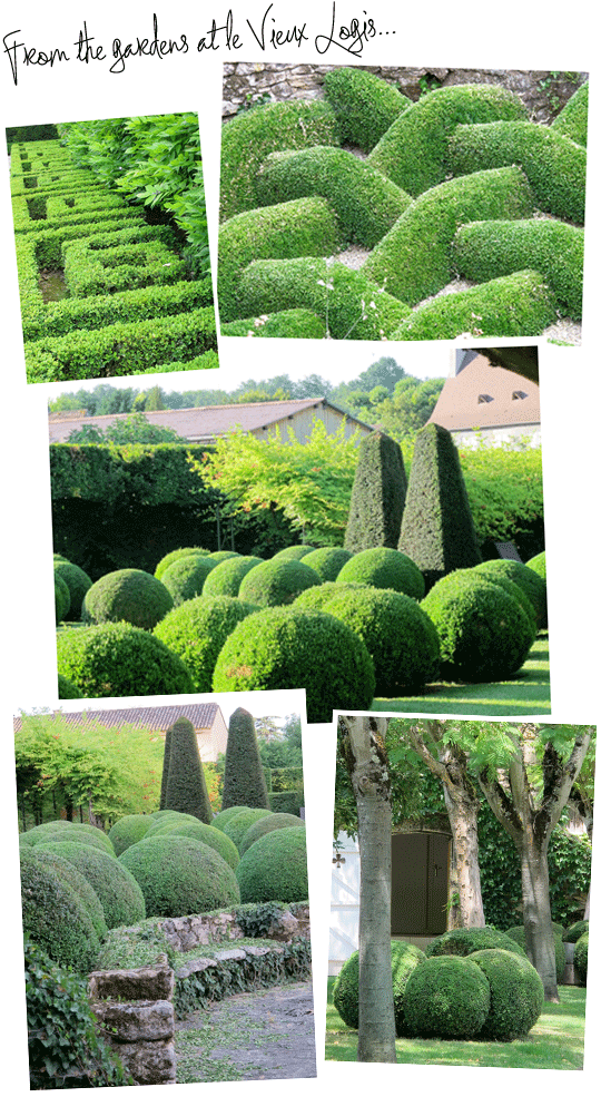 Topiary Magic Revealed - Hedge (560x1008), Png Download