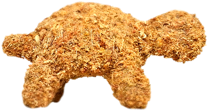 Small Turtle Topiary Stuffed - Turtle (500x375), Png Download