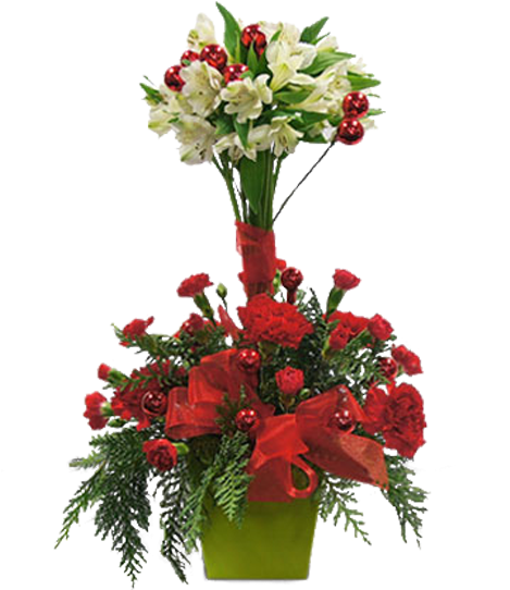 Christmas Topiary - Kentucky (600x600), Png Download