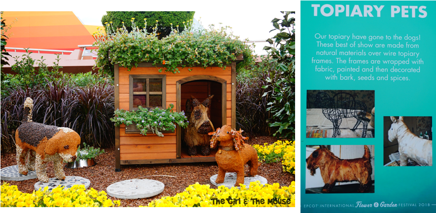 Epcot International Flower And Garden Festival Review - Yard (900x469), Png Download