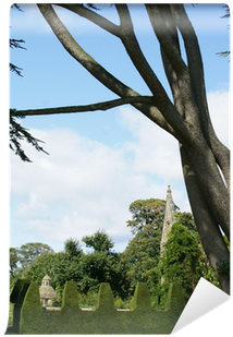 Tree - Topiary - Hedge - Decorative Yew Topiary Wall - Topiary (400x400), Png Download