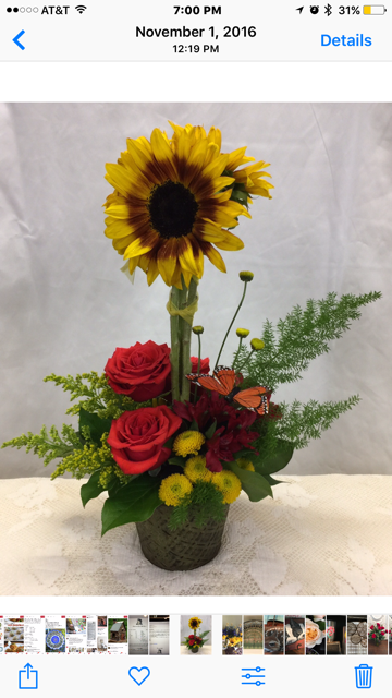 More Views (360x640), Png Download