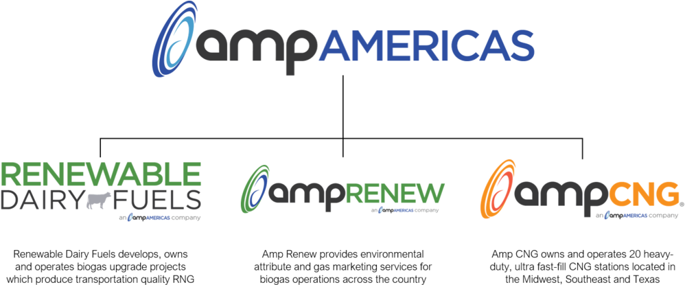 Amp Company Tree - Amp Americas (1000x424), Png Download