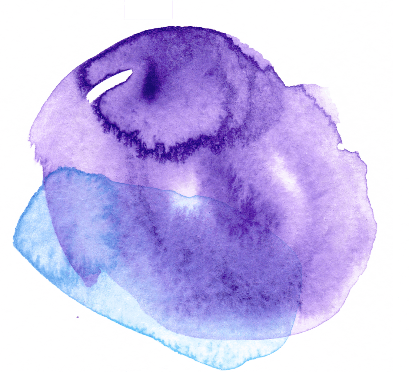 About Me - Image May Contain: Text (1350x1228), Png Download