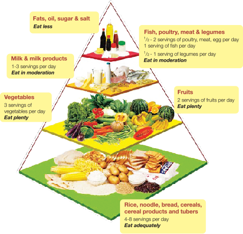 Your Nutrition Guide - Food Pyramid Malaysia 2018 (496x477), Png Download