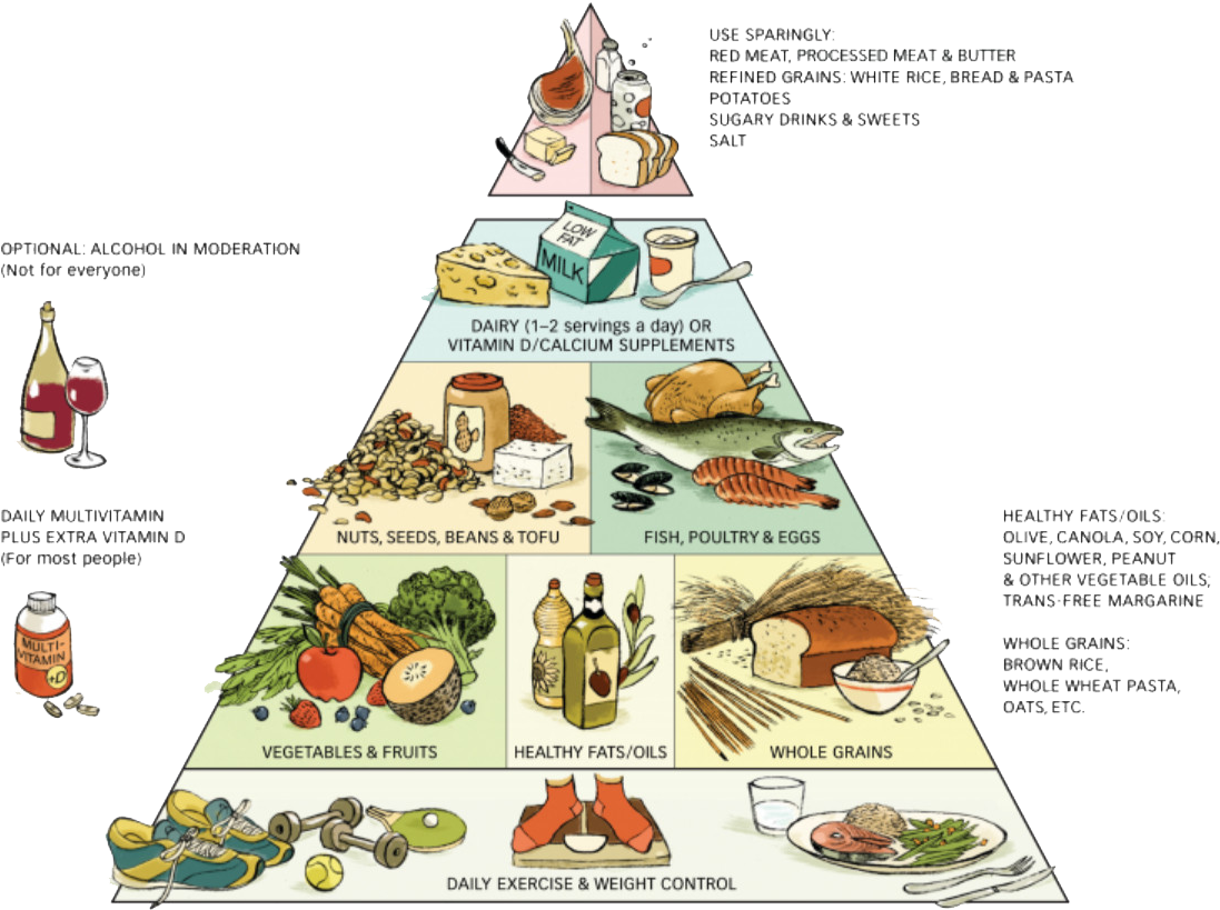 Keep Health By Food Pyramid - Gluten Free Diet Pyramid (1103x821), Png Download