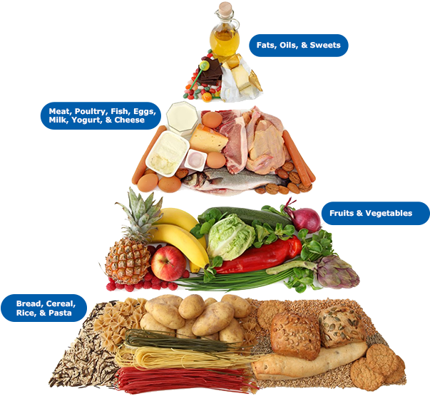 Carbohydrates - Art Print: Egal's Art Print: Egal Wall Art, 12x12in. (612x568), Png Download