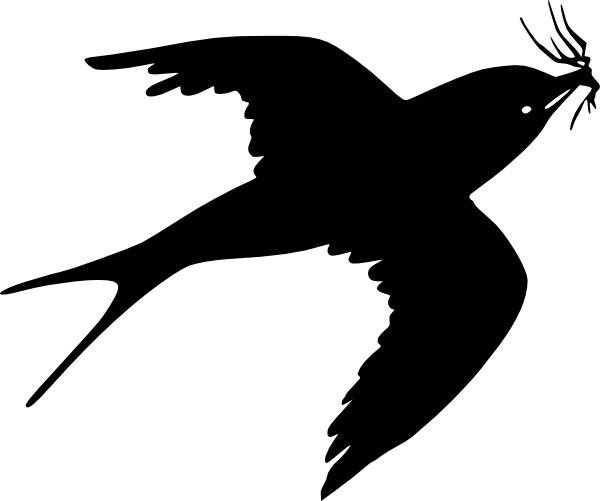 Sparrow - Black Sparrow Png (600x501), Png Download