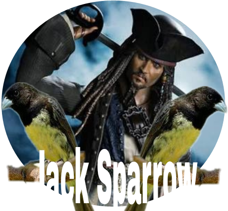 Sh Figuarts Pirates Of The Caribbean (476x441), Png Download