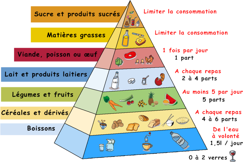 French Food Pyramid French Classroom, French Teacher, - Food Pyramid Of France (800x530), Png Download