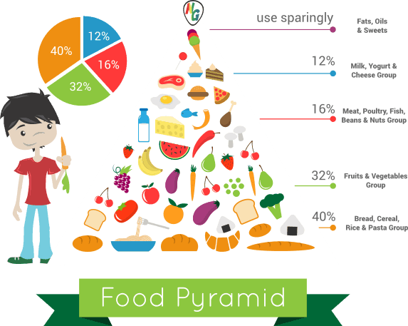 The Food Pyramid, Developed By The Us Department Of - Industry Segmentation For Food (573x457), Png Download