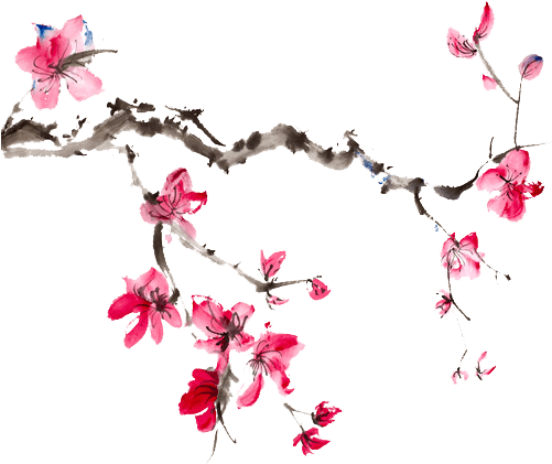 Japanese Flower - Colours Of Ageing 30 Years Of Research Erly (500x500), Png Download
