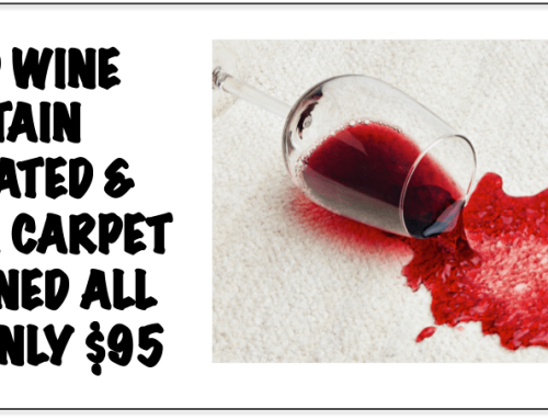 Carpet Cleaning Plus Red Wine Stains Removed - Wine On Carpet (500x383), Png Download