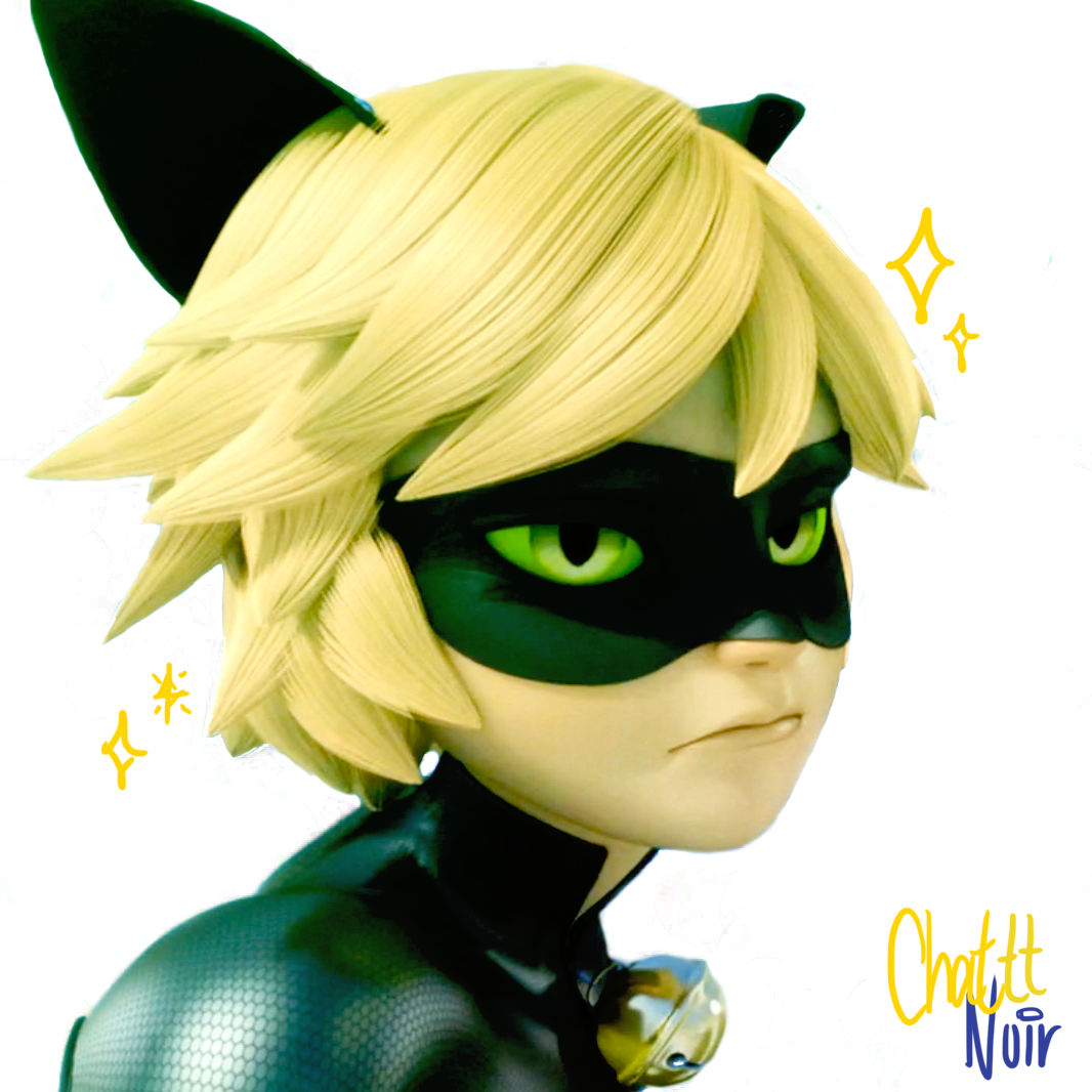 Chat Noir Miraculous Pnj (1066x1066), Png Download