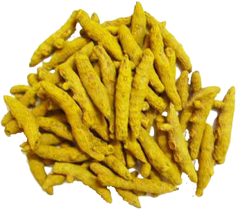 Turmeric Finger - Turmeric Finger Dry (500x500), Png Download