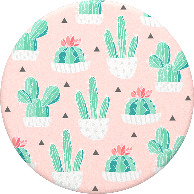 Cactus Pot (1000x1000), Png Download