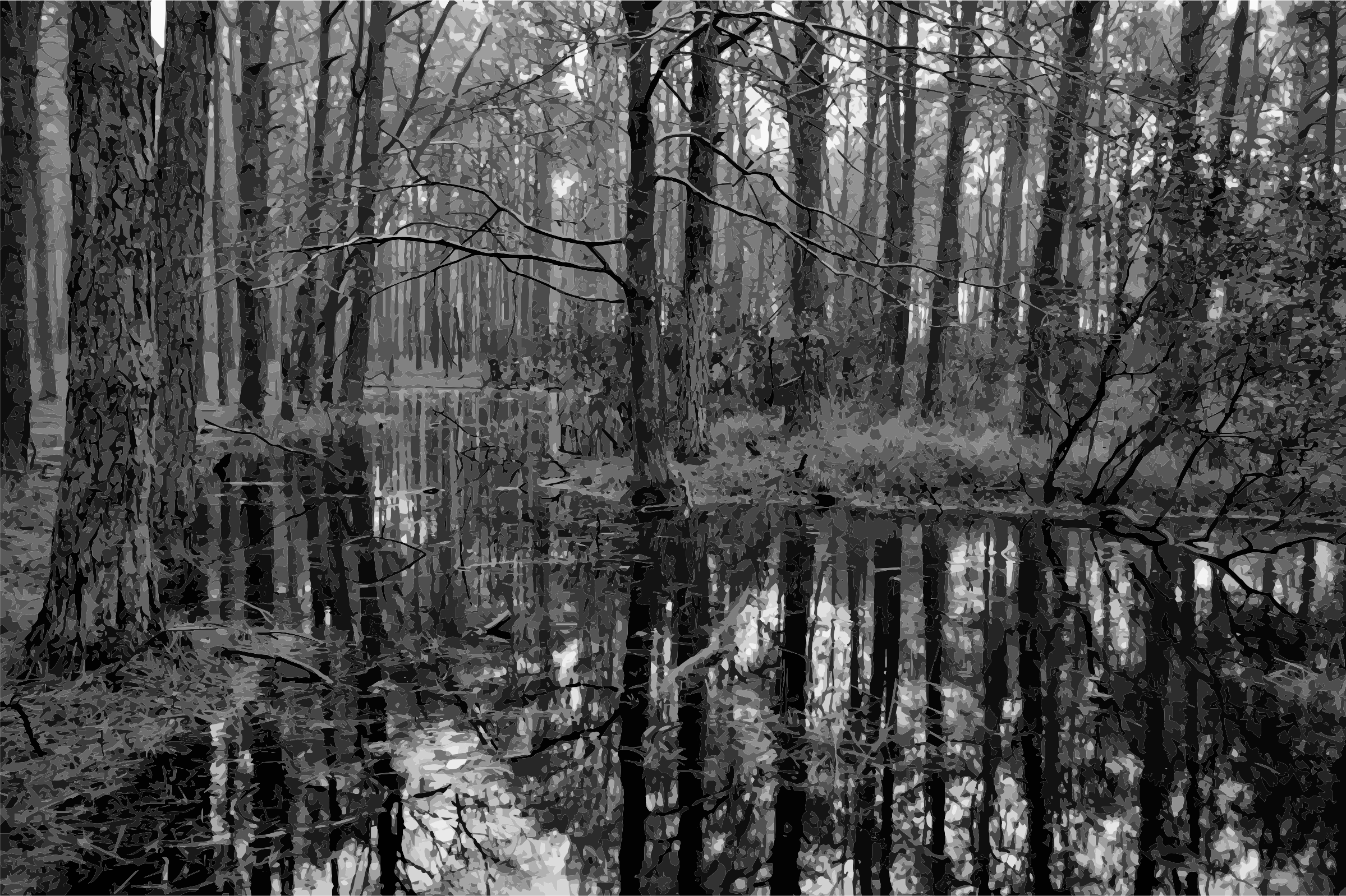 This Free Icons Png Design Of Swamp 2 Grayscale (2399x1598), Png Download