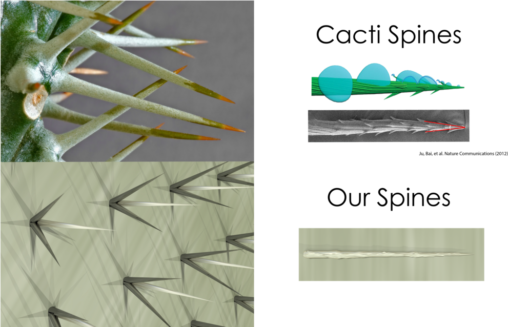 Cactivsdewpoint - Bio Design Challenge Dew Point (1000x637), Png Download