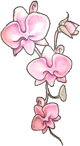 Download Pink Orchid Flowers Tattoos Design Tattoo Png Image With No Background Pngkey Com,How To Cut Corian With A Router